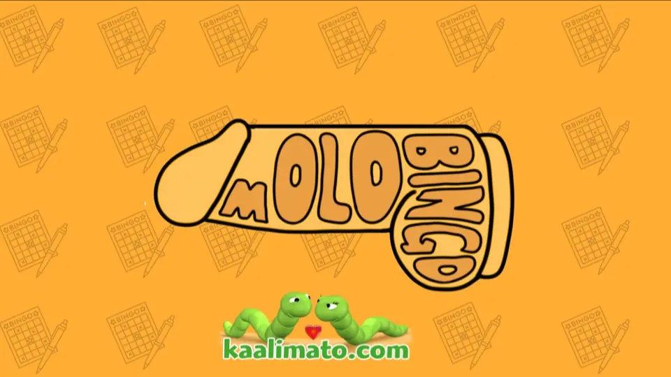 mOLObingo — Oulun Luokanopettajaopiskelijat ry, Oulu