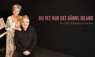 Johanna Ringbom & Iiro Salmi: Du vet hur det känns ibland - Svenska veckan | Tiistaimatinea