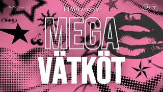 MegaVätköt