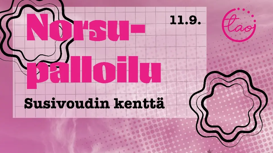 TAO norsupallo — Susivoudin kenttä, Rovaniemi