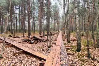 Autumn Walk to Slåttmossen