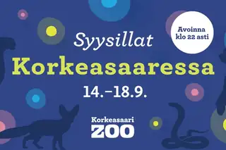 Autumn Evenings at Korkeasaari