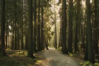 Nuts Hel - Trail Running Event 2026