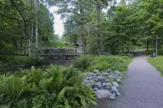 Bekanta dig med Mätäjoki och laxens lek