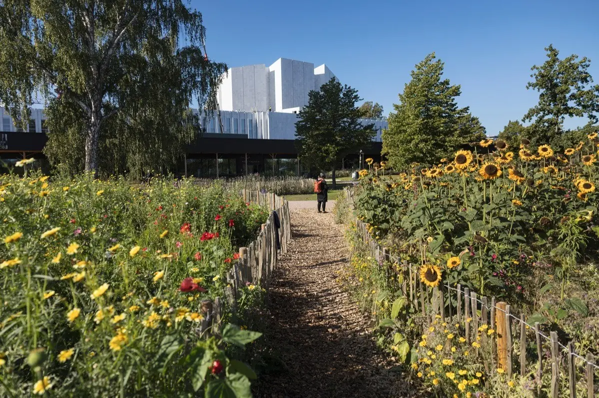 Hvordan kunne en nasjonalt bypark i Helsinki se ut? — Keskustakirjasto Oodi, Helsinki
