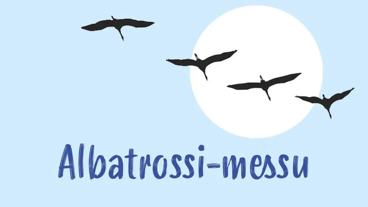 Albatrossi Mass — satama areena kotka, Kotka