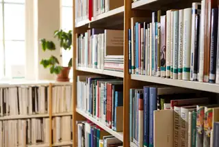 Fjärrpresentation av Barnlitteraturinstitutets bibliotek