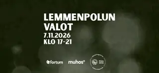 Lights of Lemmenpolku