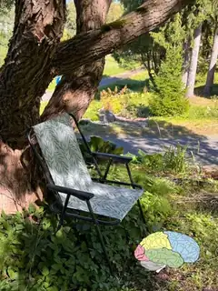 7.10. Föreläsning om hjärnhälsa