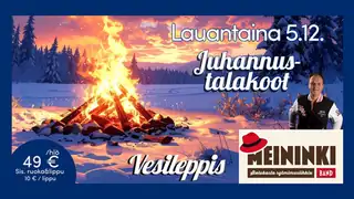 5.12. Midsummer-Themed Christmas Party at Vesileppis