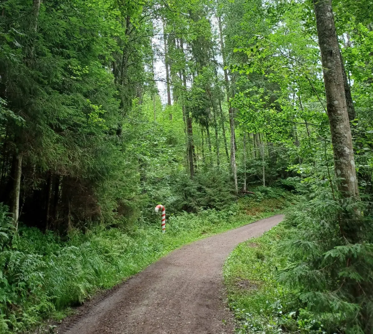 Opplæring for friluftsvenn ons 16.9 — Lounaskahvila Rinne, Karkkila
