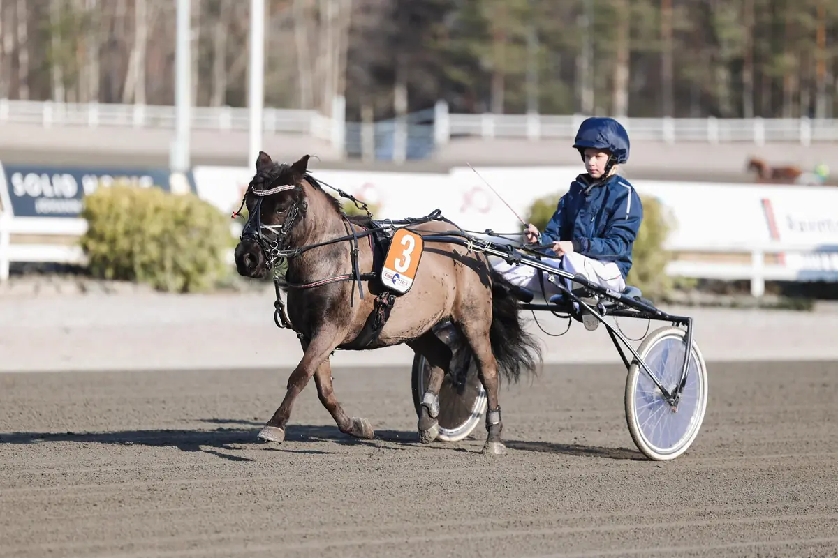 Träningslopp — teivon ravikeskus, Tammerfors