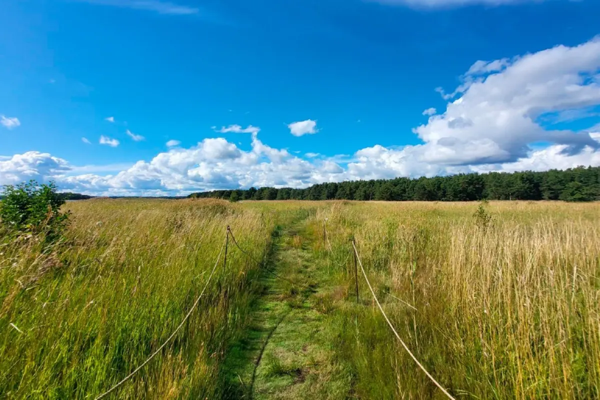 Webinar on the New Management and Use Plan for Kallahden Strandeng Nature Reserve — Internet, Helsinki