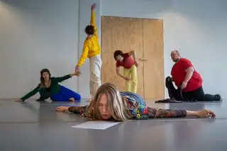 Liisa Pentti +Co: Zone Critique