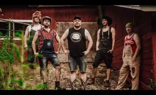 Steve 'n' Seagulls