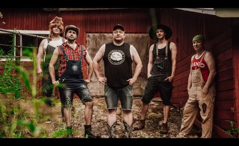 Steve 'n' Seagulls — Hullu Poro Areena, Levi