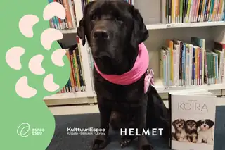 Reading Dog Iiga
