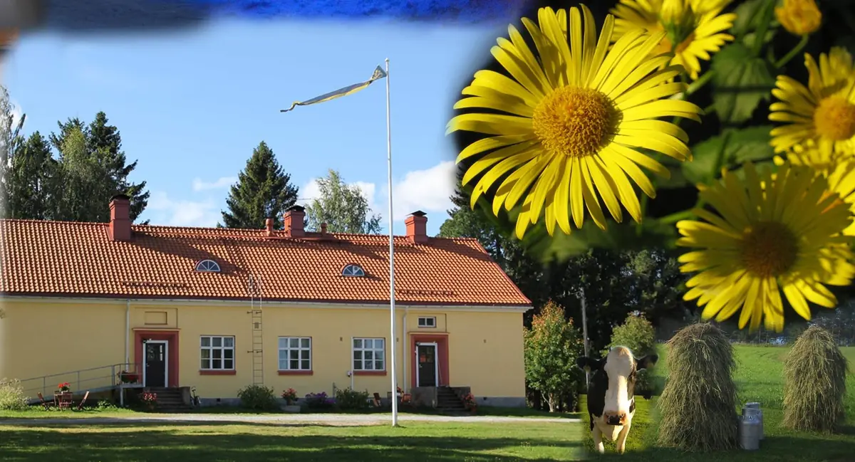 Salmitalo Service Day: "Love Your Brain - Your Irreplaceable Hard Drive" — Soinilansalmen Salmitalo, Leppävirta