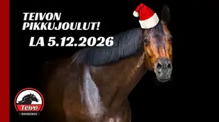 Pikkujouluravit – Teivo Grand  Prix