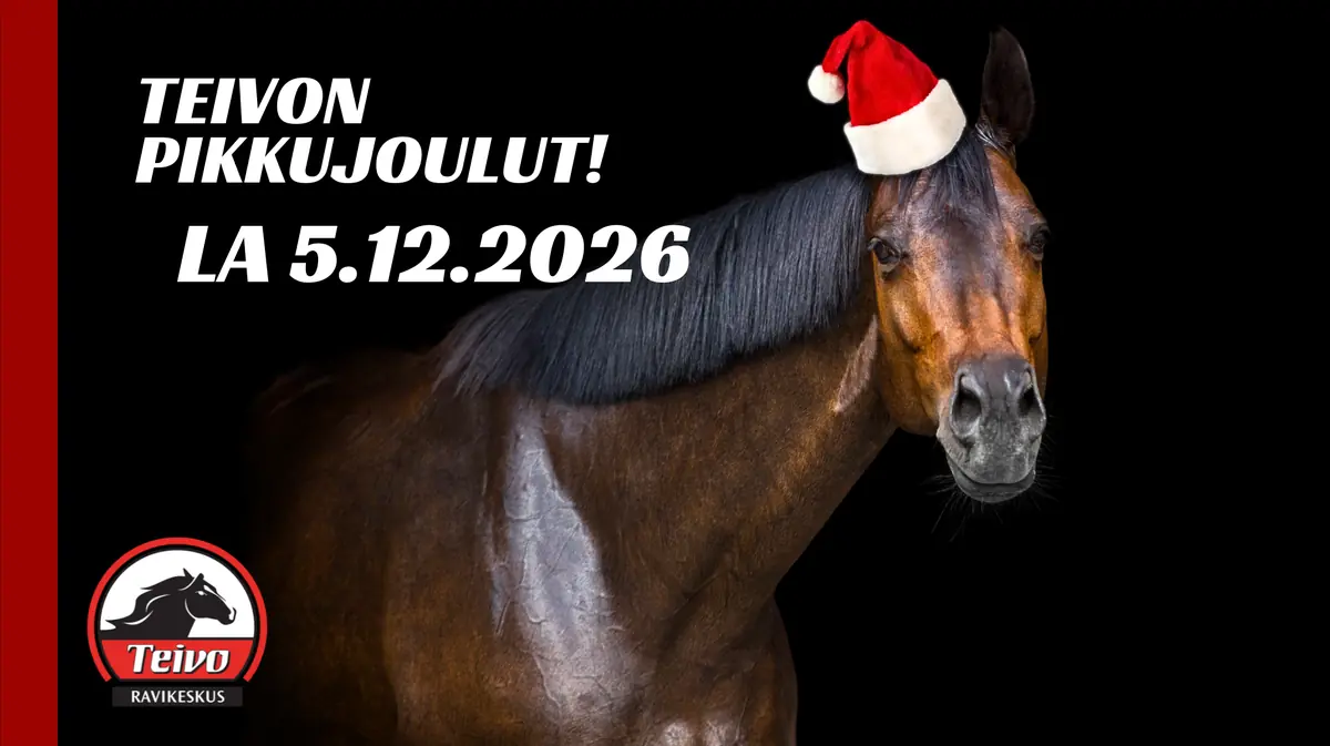 Pikkujouluravit – Teivo Grand  Prix — teivon ravikeskus, Tampere