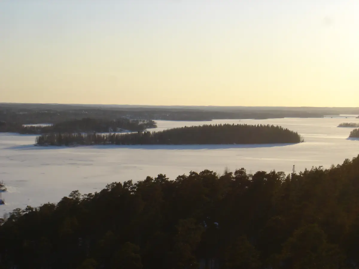 SaariHelvetti 2026