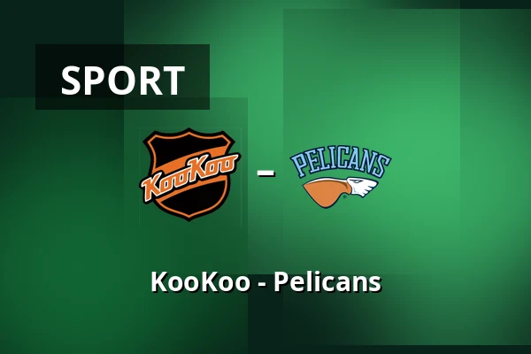 KooKoo – Pelicans — Kouvola