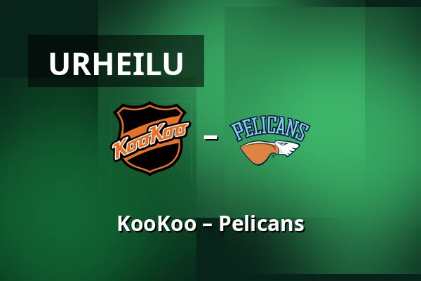 KooKoo – Pelicans