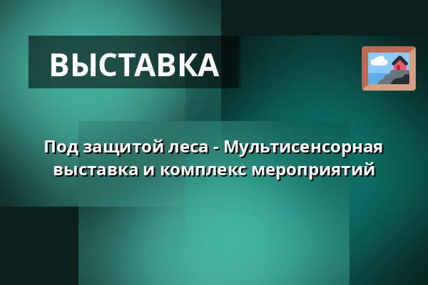 Под защитой леса - Мультисенсорная выставка и комплекс мероприятий — Kanneltalo, Хельсинки