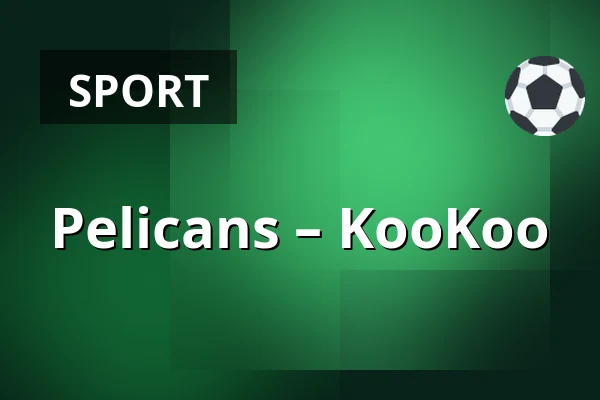 Pelicans – KooKoo — Lahtis