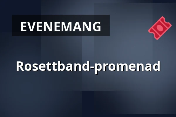 Rosettband-promenad — Urheilukenttä, Vesanto